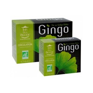 The vert gingo biloba 90 infusettes
