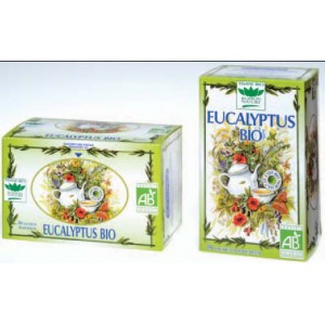 Infusion eucalyptus x20