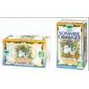 Infusion sommeil oranger x20