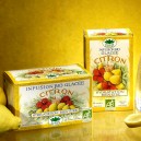 Infusion glacee citron x20 