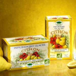 Infusion glacee citron x20 