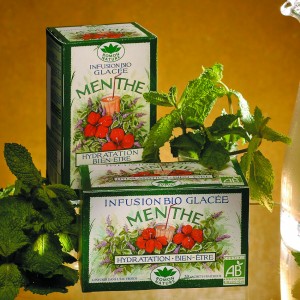 Infusion glacee menthe x20