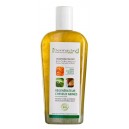 Shampooing regerenateur cheveux abimés 250ml