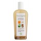 Shampoing cheveux gras  250ml 