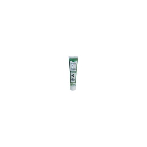 Dentifrice Menthe 75ml