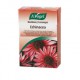 Bonbons Echinacea 30g